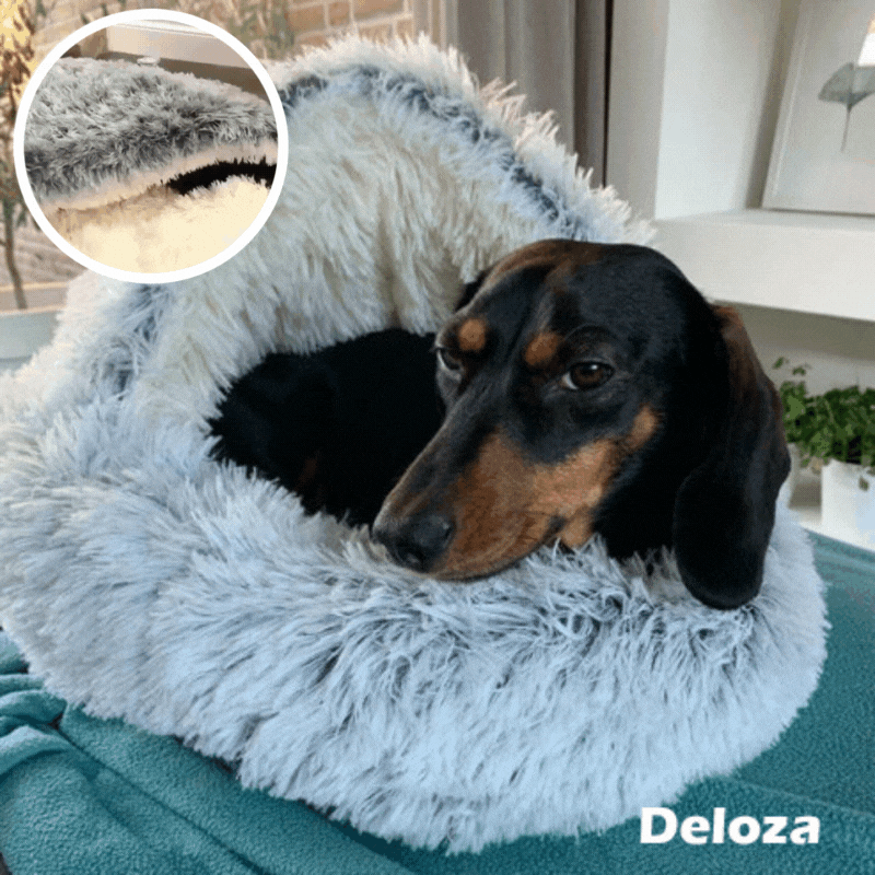 VelociNest™ — Turn Your Pet’s Stress into Pure Bliss and Cozy Comfort