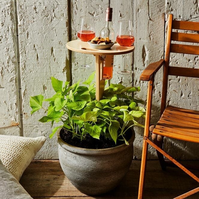 Transform Any Picnic into Relaxation and Stylish Enjoyment