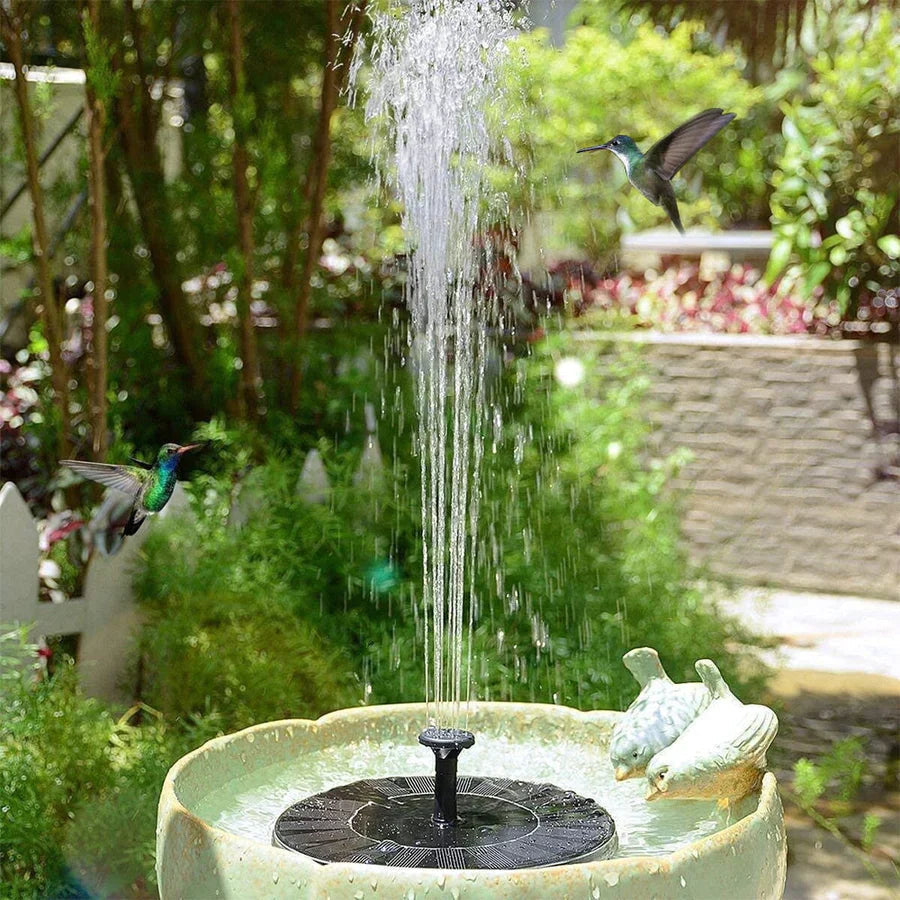 Transform Your Garden into a Lively Oasis of Freshness and Serenity