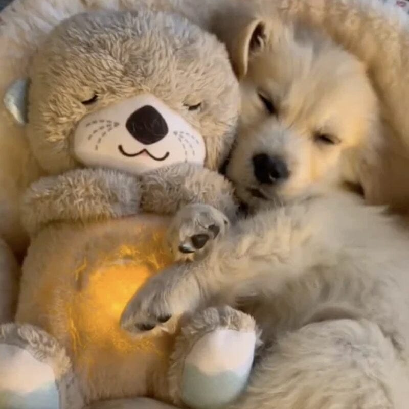 Soothing Plush Toy with Heartbeat and Sound Features – Otter