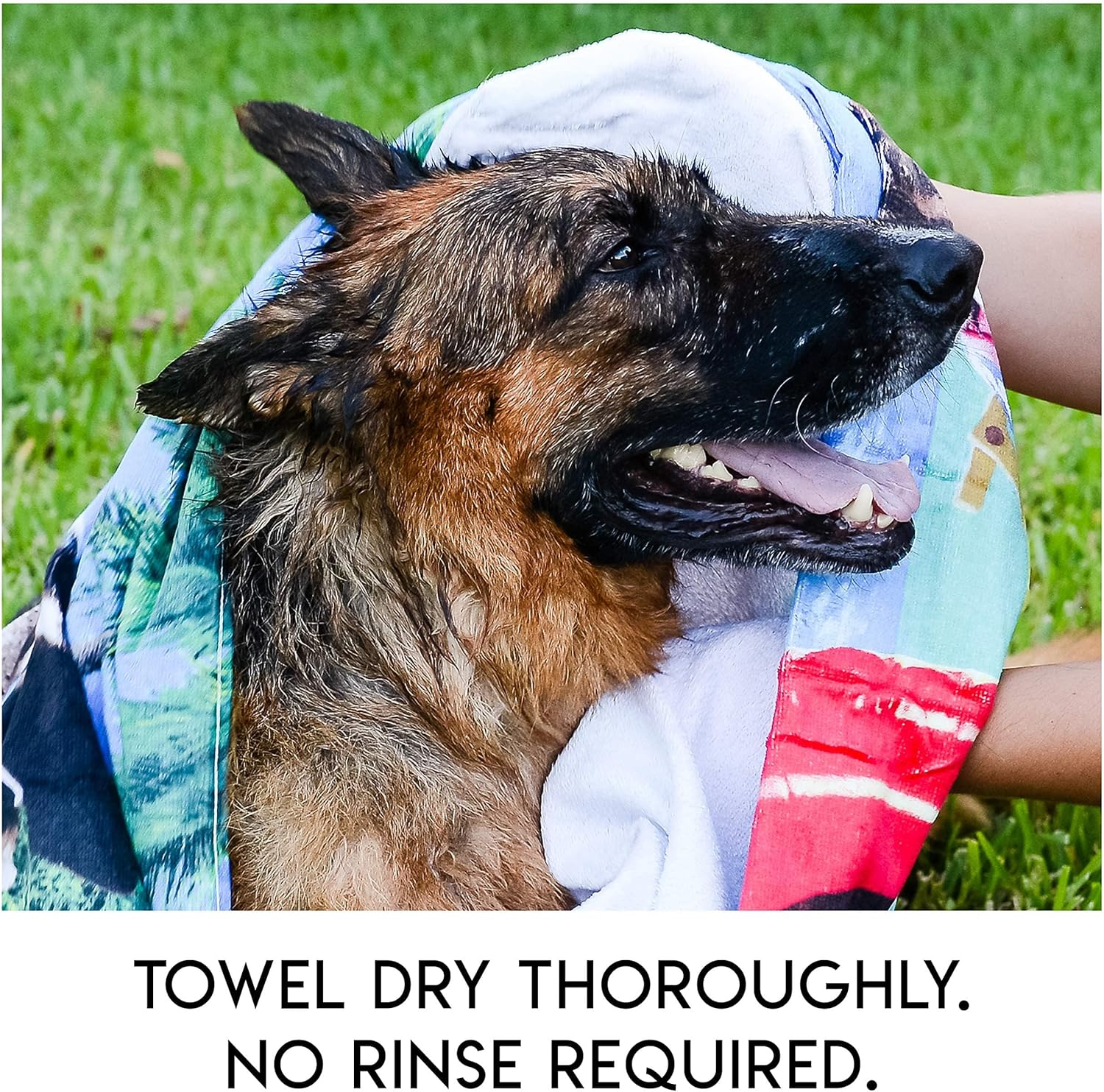 Gentle Fur Care for Relaxation and Shine