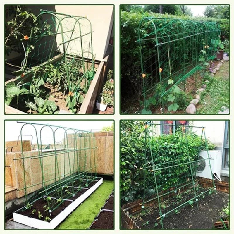 Arvilaro-Premium Connecting Buckles