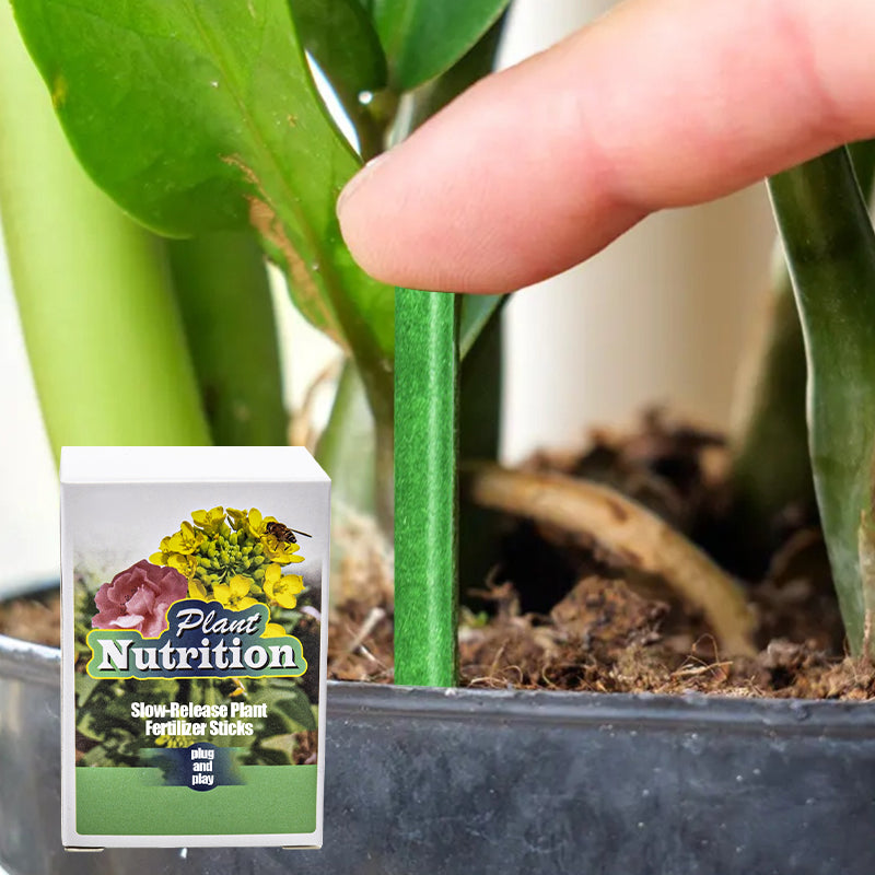 Plant Feeding | Uniform Nutrient Spread | Simple to Insert | RootVita