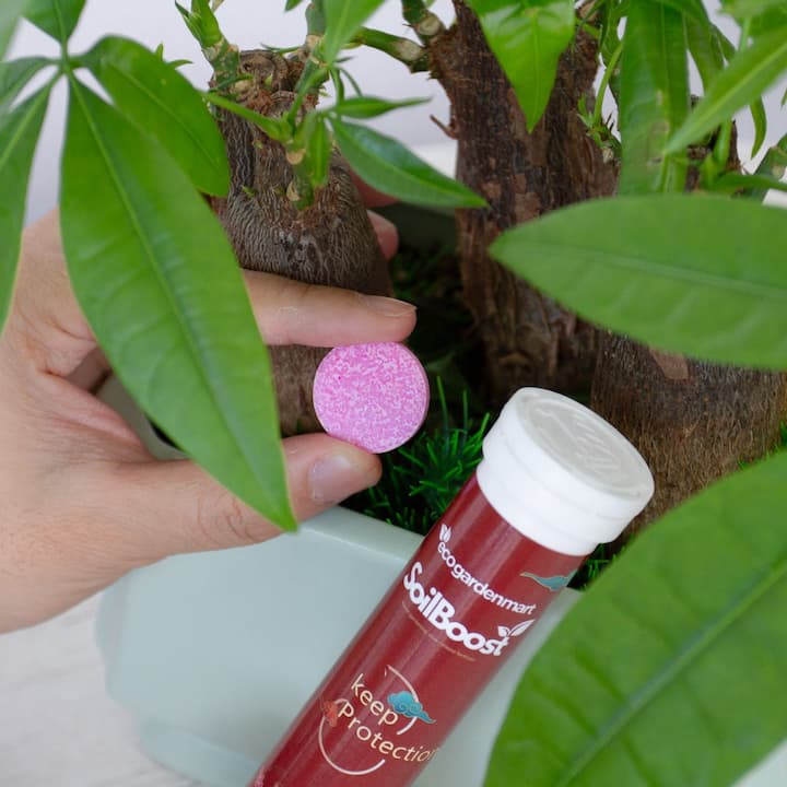 TerraThrill™ — Ignite Vibrant Growth and Watch Your Garden Thrive Effortlessly