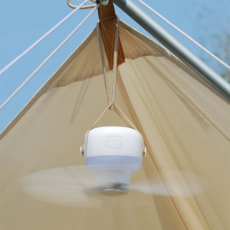 Hanging Fan with LED Light