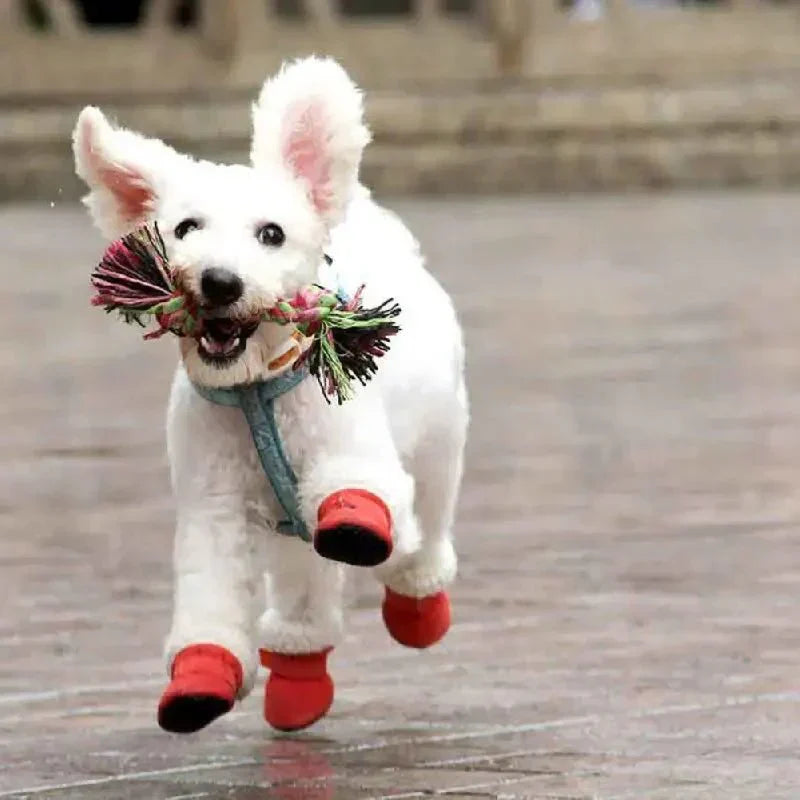 Waterproof Dog Boots with Non-Slip Traction for Winter Protection