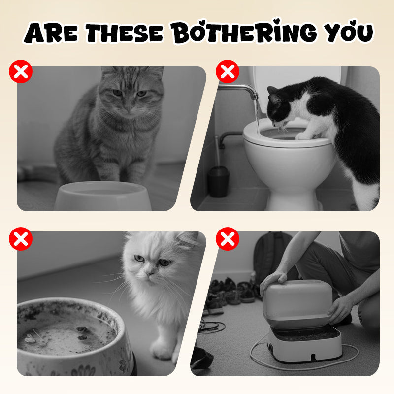 Stylish Cat Food Holder – Transform Mealtime into an Elegant Highlight