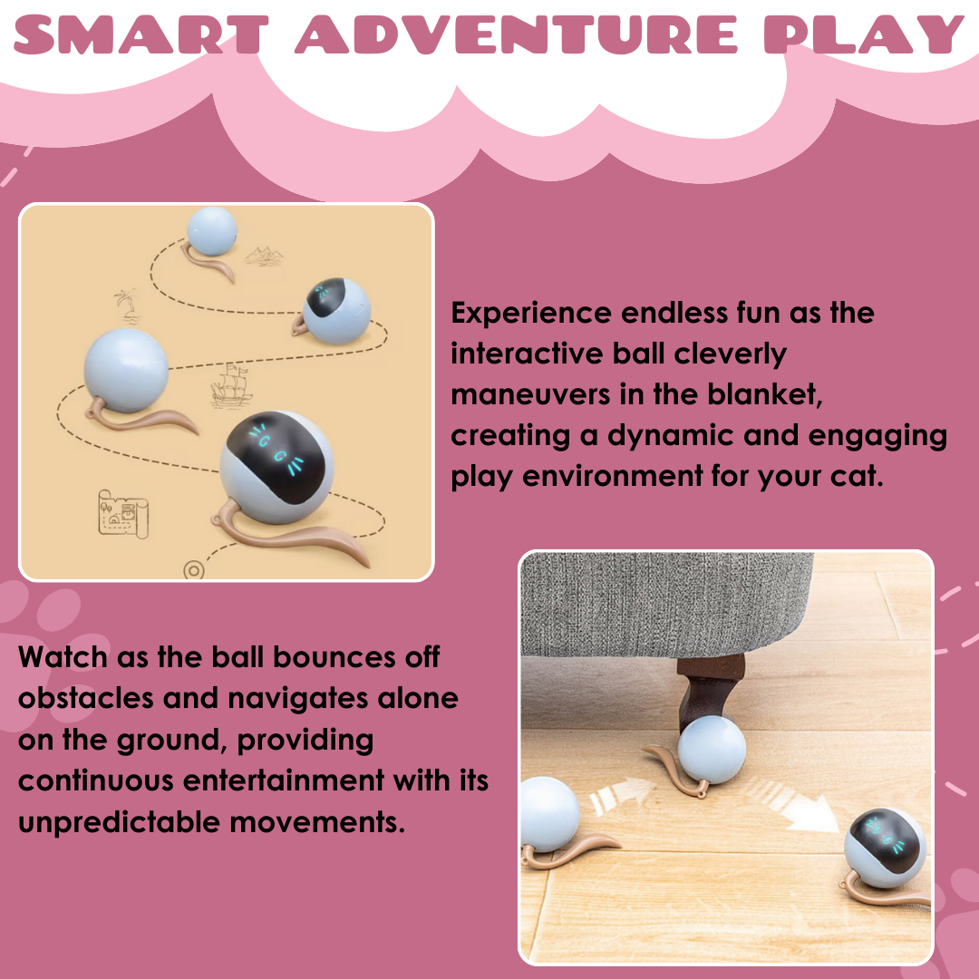 PurrQuest™ — Ignite Your Cat’s Wild Instincts for Endless Thrills and Energy