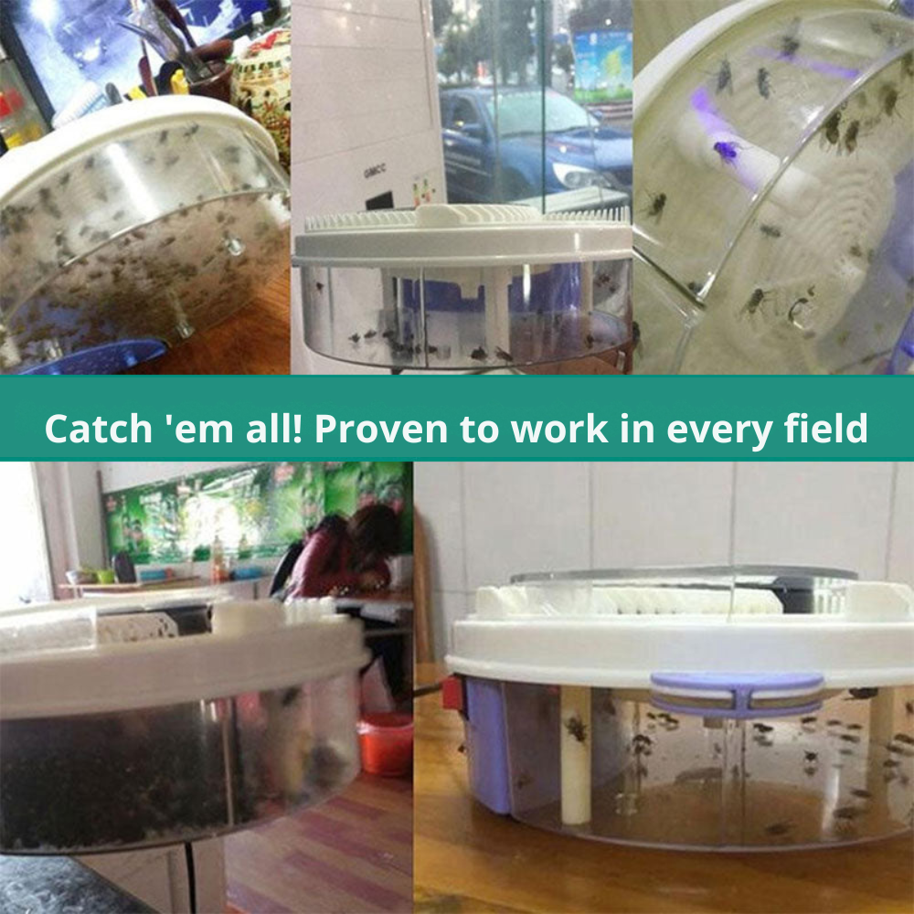 Chemical-Free Fly Trap – SilentCatch