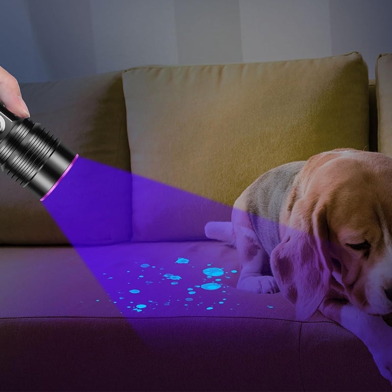 Discover Hidden Details with Brilliant UV Light