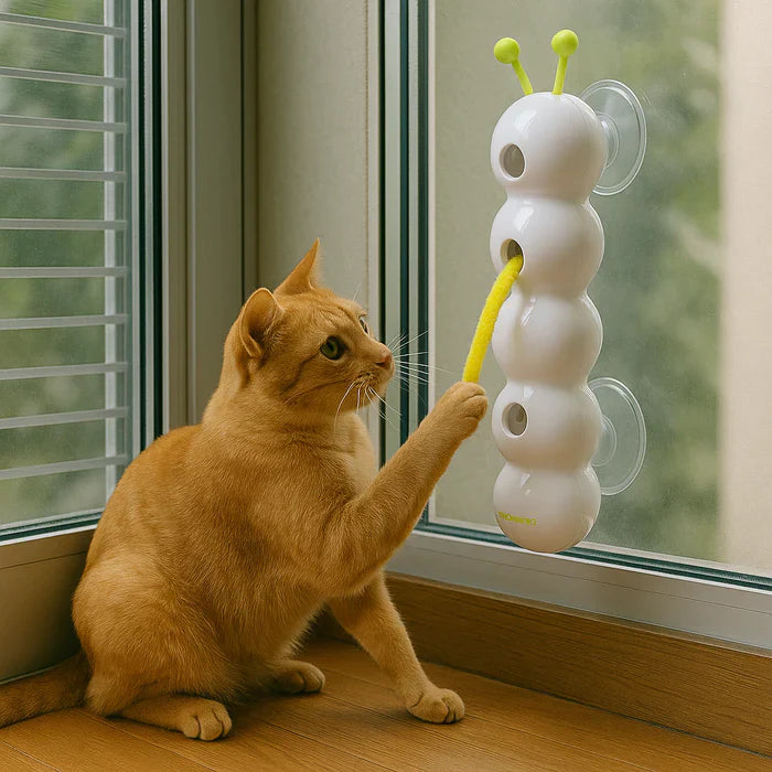 WhiskerTwist™ — Unleash Your Cat’s Wild Hunting Instincts with Endless, Hands-Free Fun