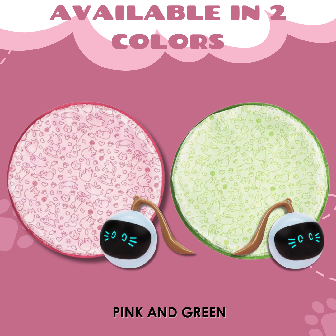 PurrQuest™ — Ignite Your Cat’s Wild Instincts for Endless Thrills and Energy