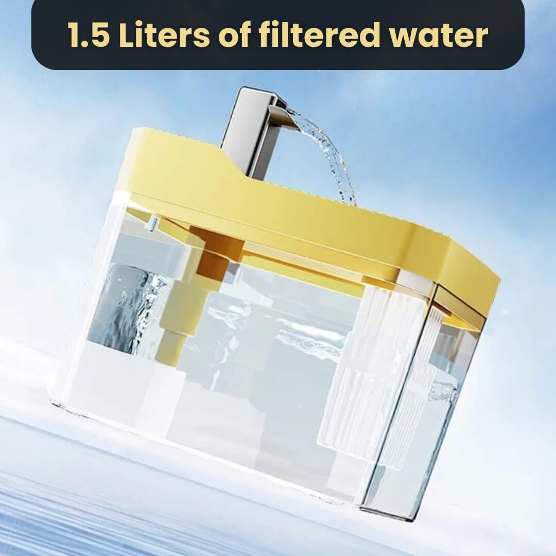 RamiraStream™ — Keep Your Cat Happy, Hydrated, and Bursting with Energy Every Day