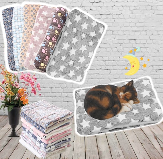 75% OFF LAST DAY | CatZoty™ Cozy Calming Cat Blanket