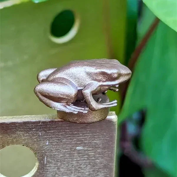 Get One Free | Adds Unique Charm to Any Door with Instant Wow Factor