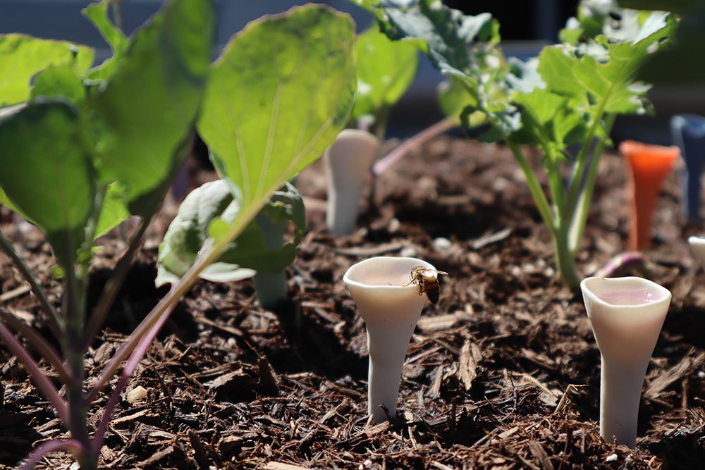 Bee Cups for a Vibrant Garden – Attract Pollinators and Enjoy Mosquito-Free Freshness