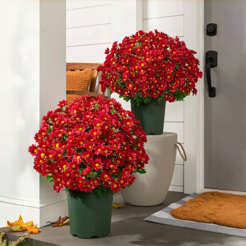 RamoraBloom™ — Light Up Your Home with Effortless, Timeless Autumn Beauty