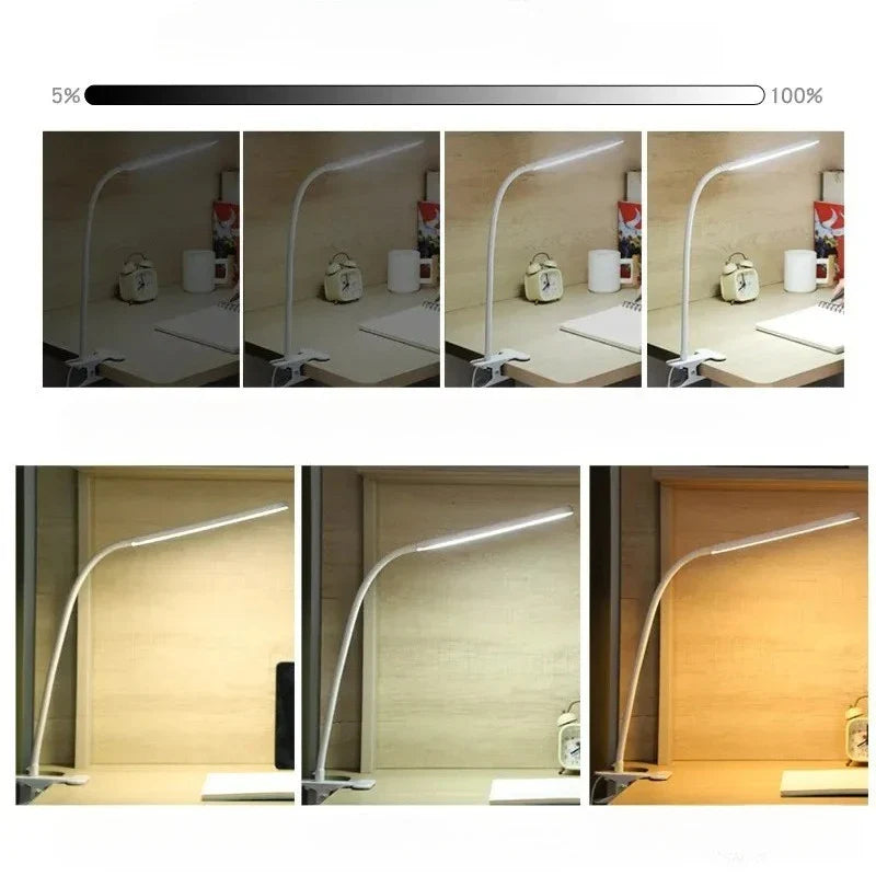 LED Clip-On Light