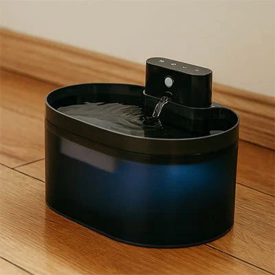 Fresh Water Fountain for Cats – Daily Hydration and Joy