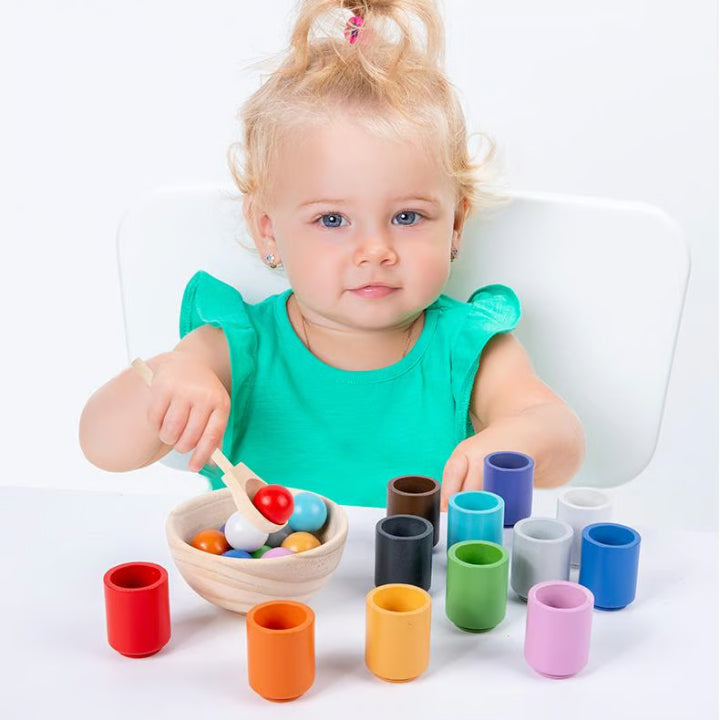 Wood Kit for Color Matching