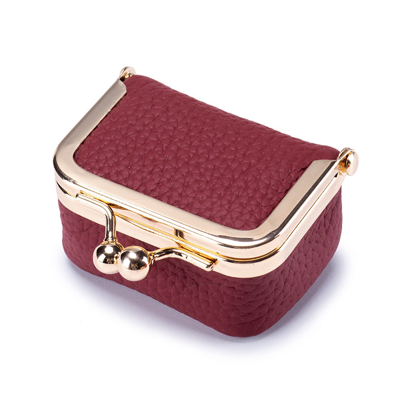 Elegant Jewelry Case for Safe and Radiant Storage Anywhere