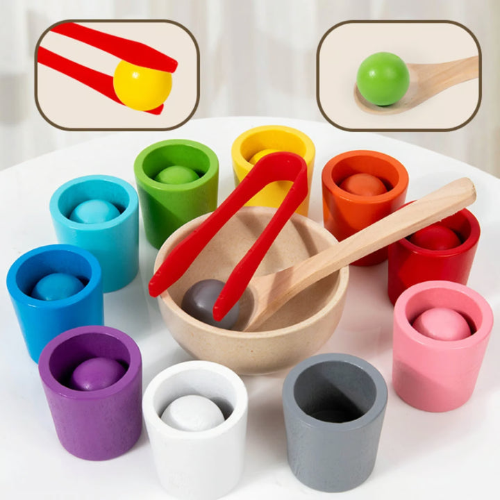 Wood Kit for Color Matching