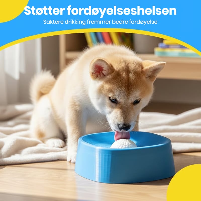 Calm Drinking Solution for Stress-Free Digestion and Happy Dogs