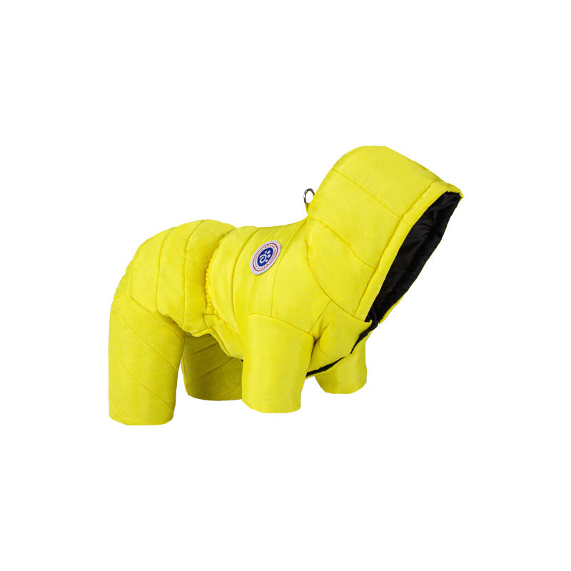 Transform Cold Winter Days into Cozy Comfort Moments for Your Dog