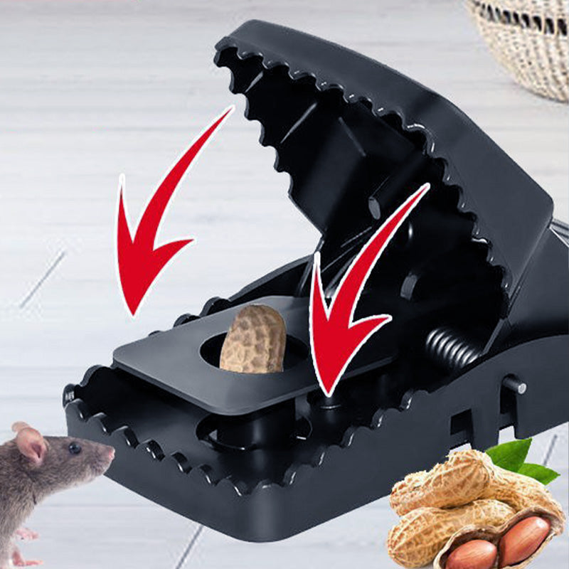 Rodent Control Solution for a Safe and Clean Home