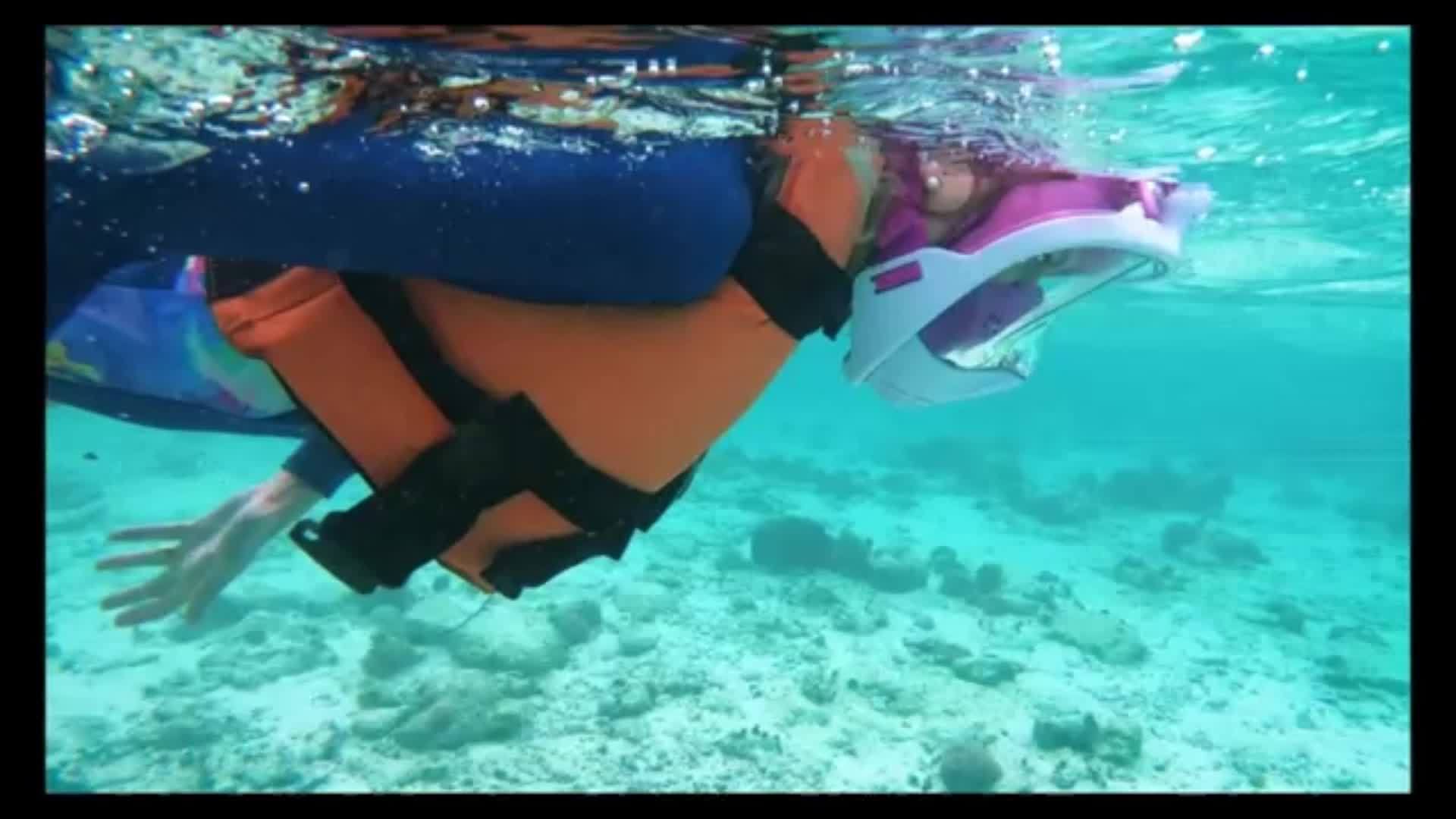 Full Face Snorkel Mask with 180° Visibility