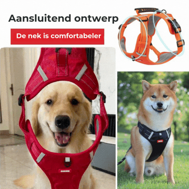 PawEase Harness - Enjoy Relaxed Walks Without Pulling and Maximum Comfort