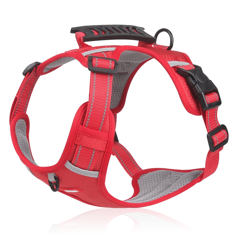 PawEase Harness - Enjoy Relaxed Walks Without Pulling and Maximum Comfort