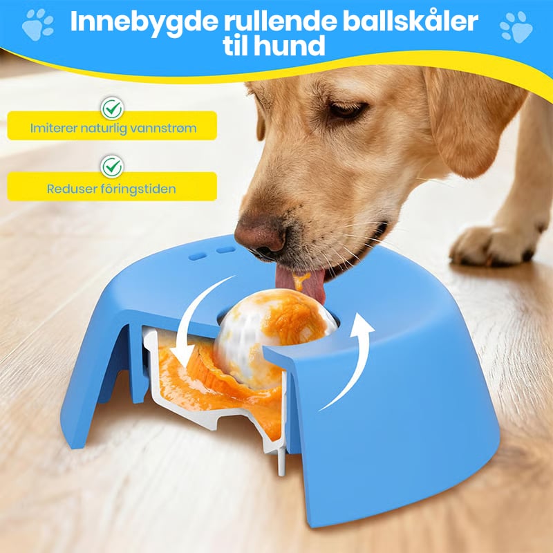 Calm Drinking Solution for Stress-Free Digestion and Happy Dogs