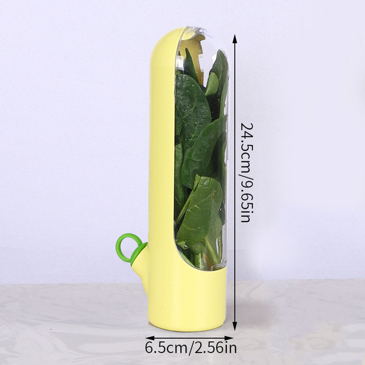 Container for Storing Fresh Herbs and Vegetables