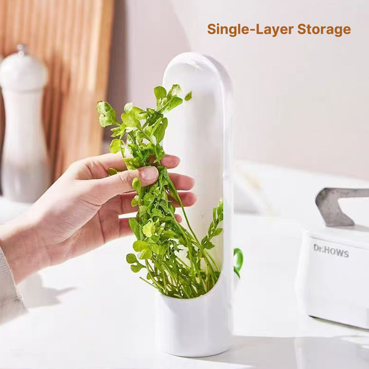 Container for Storing Fresh Herbs and Vegetables