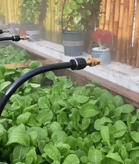 Irrigation Kit with Hose and Valves