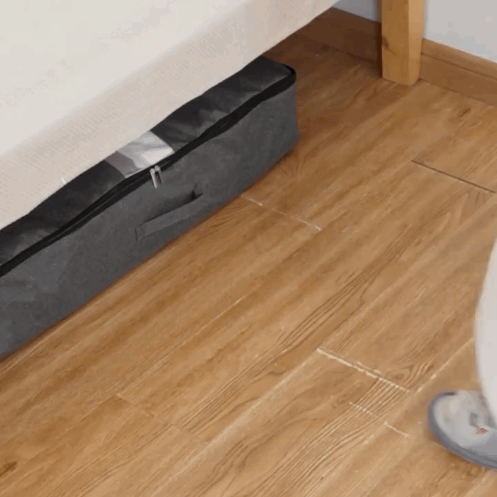Storage Bag for Under-Bed with Viewing Window
