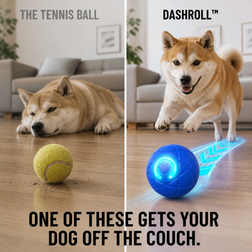 DashRoll™ — Burn Off Your Dog's Energy While You Work, Hands-Free