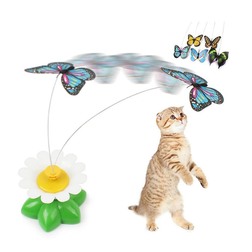 Zolara Interactive Cat Toy