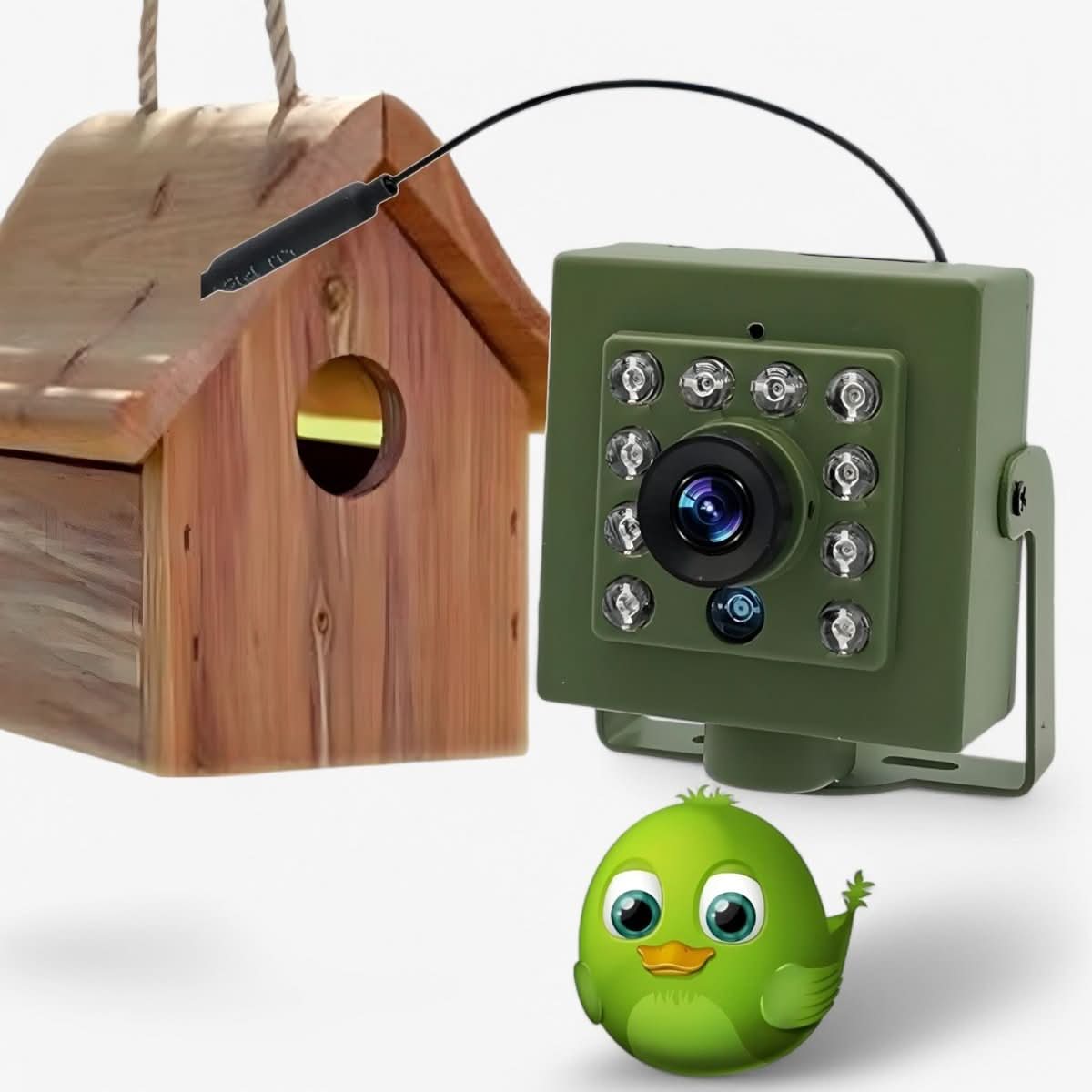1080p HD Wireless Bird Nest Camera with Night Vision and Motion Alerts