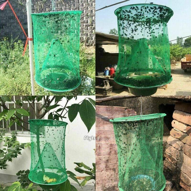 Patio and Home Insect Trap for Outdoor Fly Control