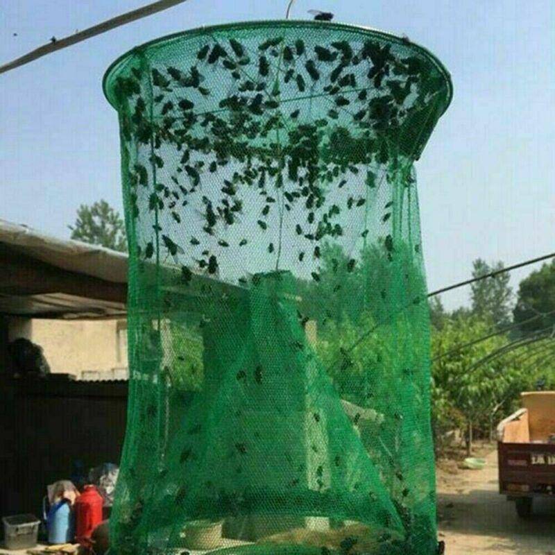 Patio and Home Insect Trap for Outdoor Fly Control