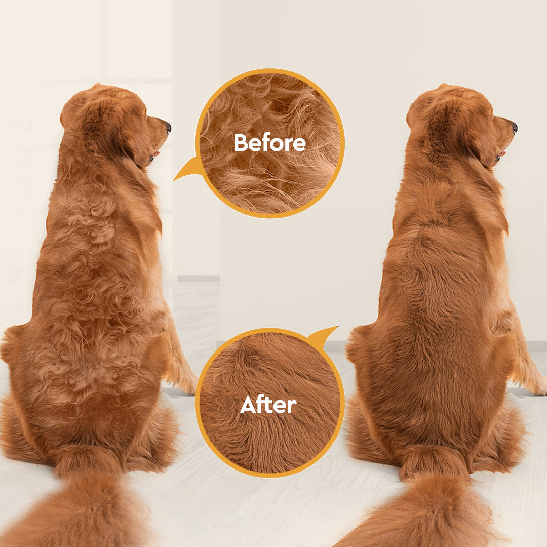 Vacuum Grooming Set for Pets with Silent Suction Feature