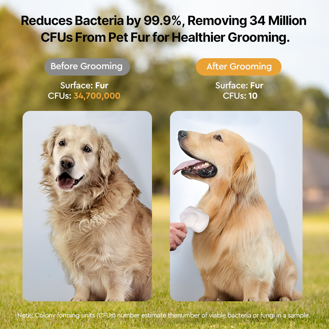 Vacuum Grooming Set for Pets with Silent Suction Feature