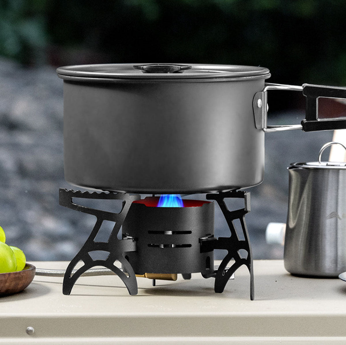Camping Gas Stove 3600W with Portable Carrying Case