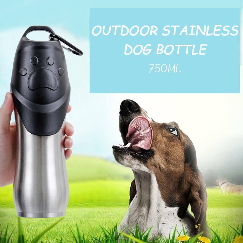 Outdoor Pet Water Bottle in Portable Stainless Steel