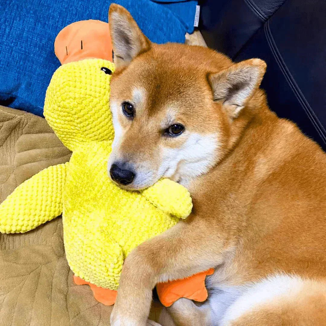 Interactive Dog Toy Duck with Quacking Sound for Pets
