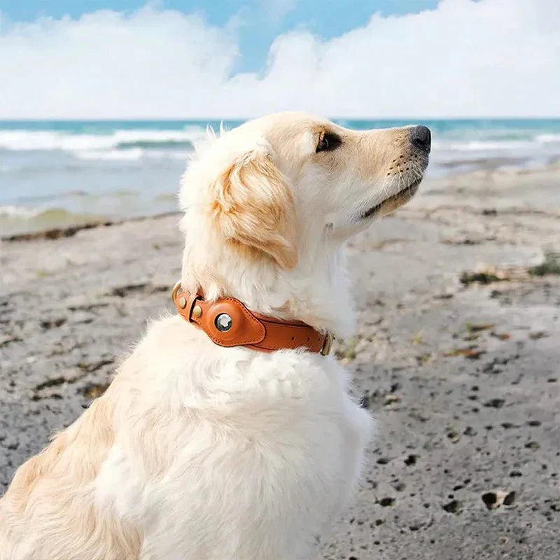 AirTag Dog Collar for Location Tracking – Compatible with Apple AirTag
