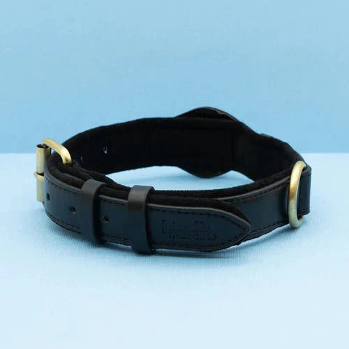 AirTag Dog Collar for Location Tracking – Compatible with Apple AirTag