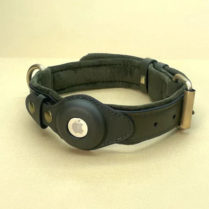 AirTag Dog Collar for Location Tracking – Compatible with Apple AirTag
